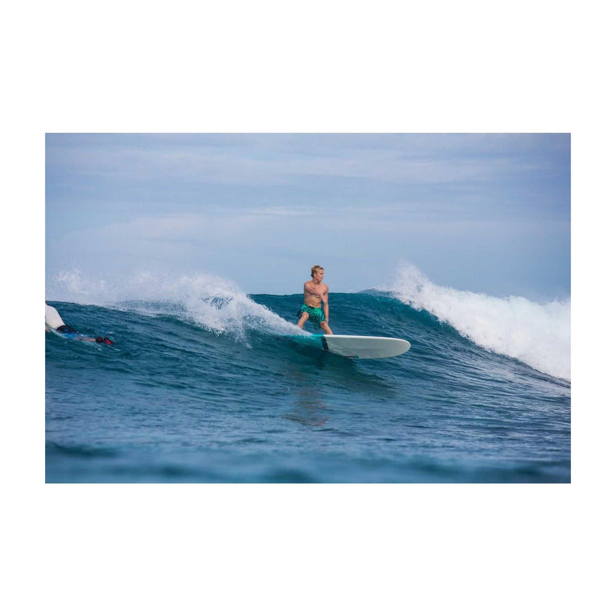 Surfboard TORQ TET 8.6 Longboard Pinline