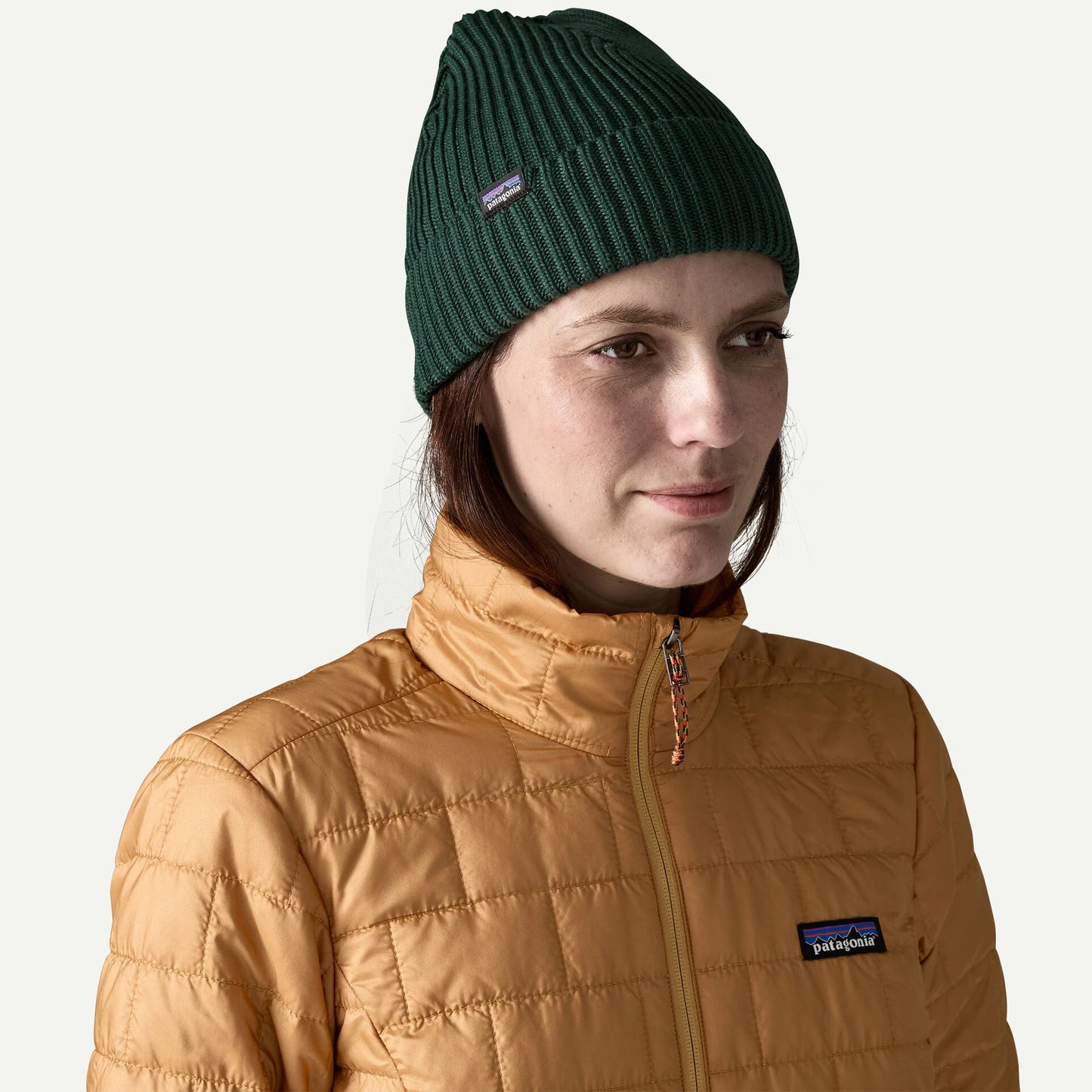 Patagonia Fisherman's Rolled Beanie