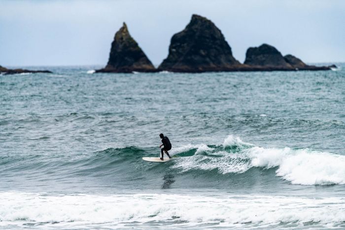 Prancha de surfe Lib Tech Pickup Stick 6'6