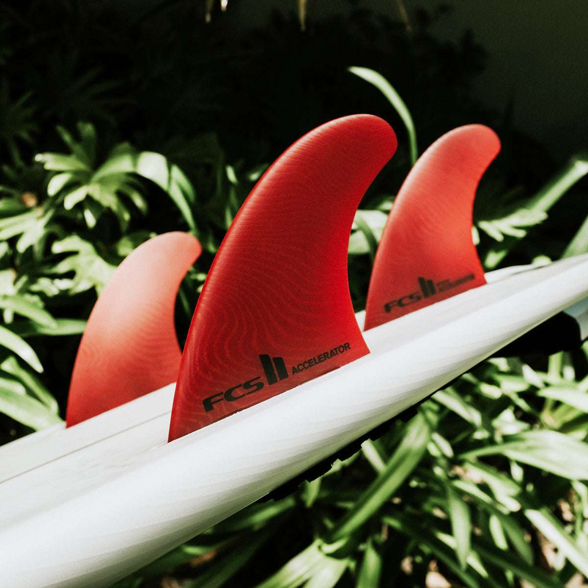 FCS II Accelerator Neo Glass Eco Médio Tri Fins