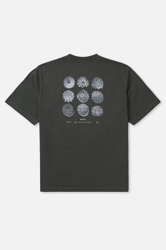 Katin Specimen Box Fit Tee Black Wash