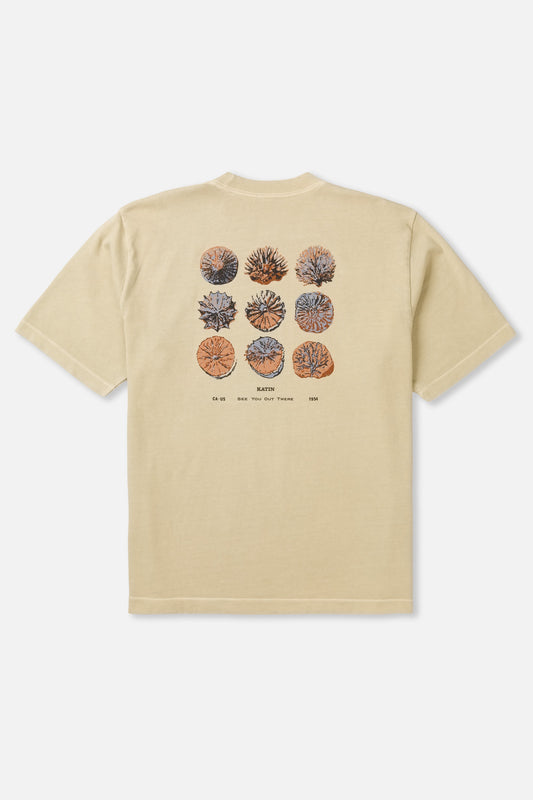 Katin Specimen Box Fit Tee Pelican