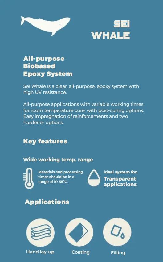 R*Concept Sei Whale Epoxy Resin Kit 0,75L
