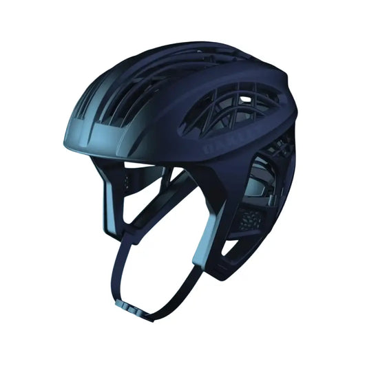 Oakley WTR Icon Helmet Matte Black