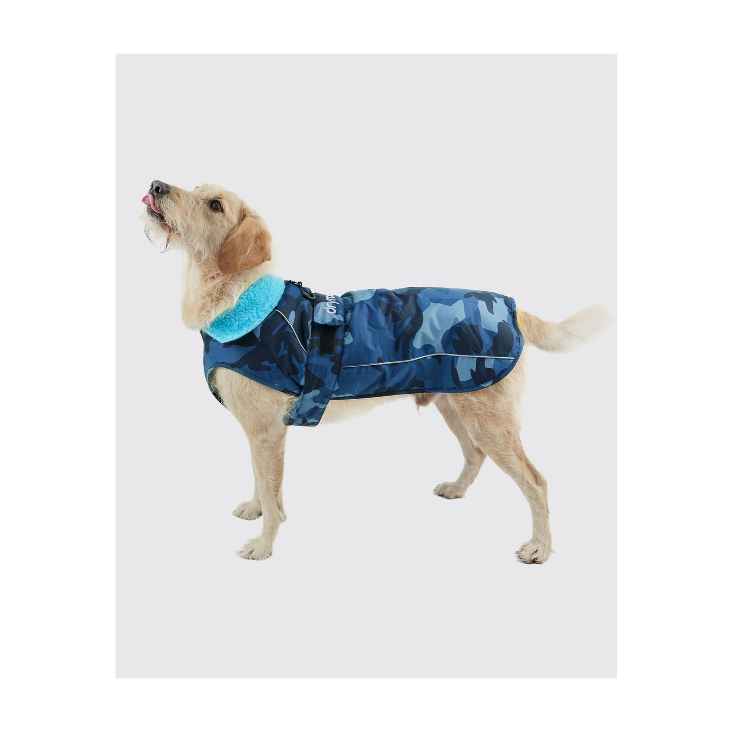 DRYROBE Dog Coat Dog coat Dogs