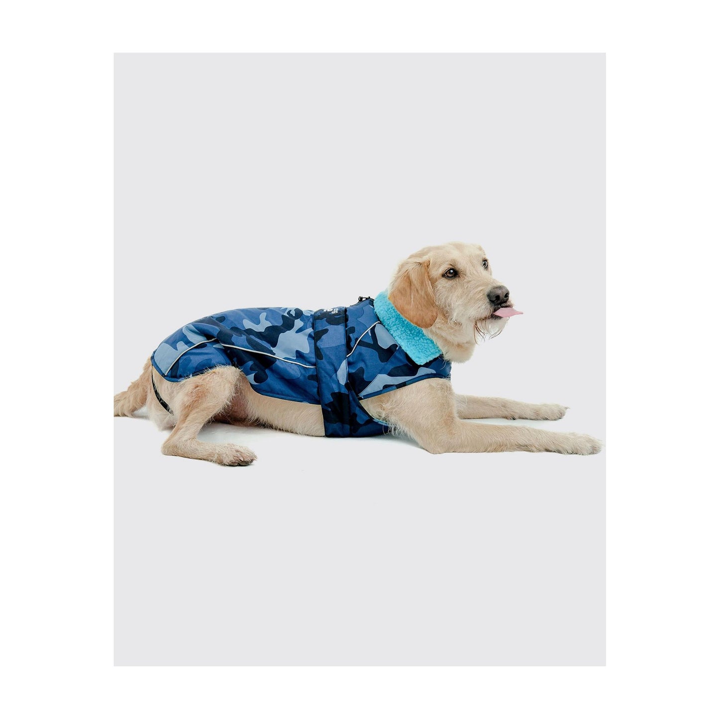 DRYROBE Dog Coat Dog coat Dogs