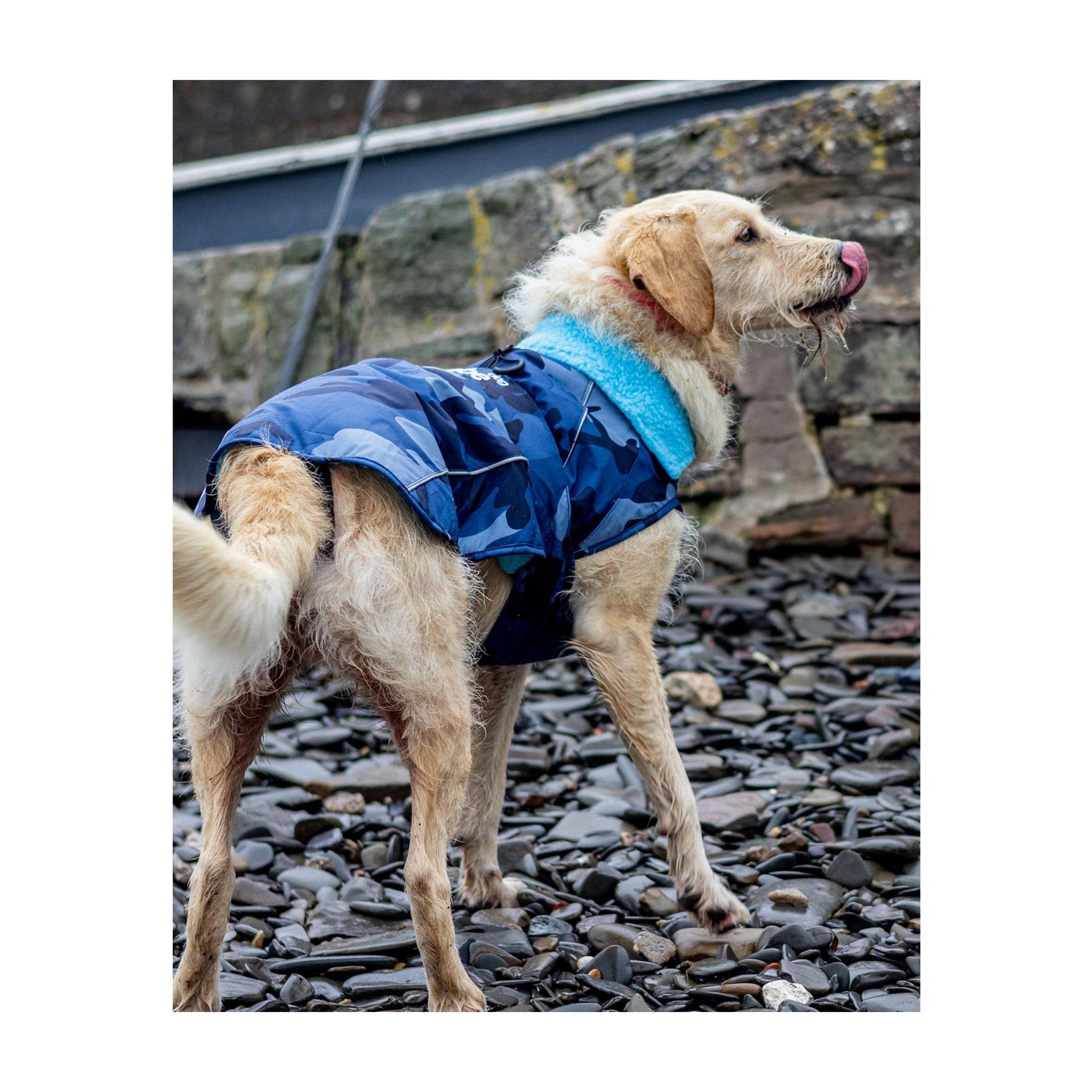 DRYROBE Dog Coat Dog coat Dogs