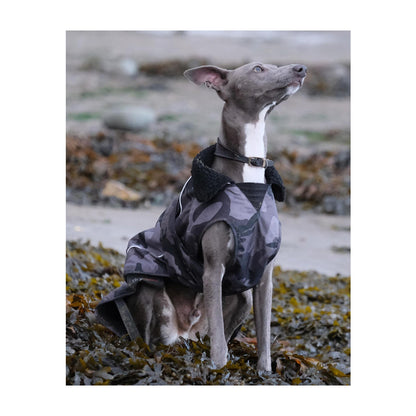 DRYROBE Dog Coat Dog coat Dogs