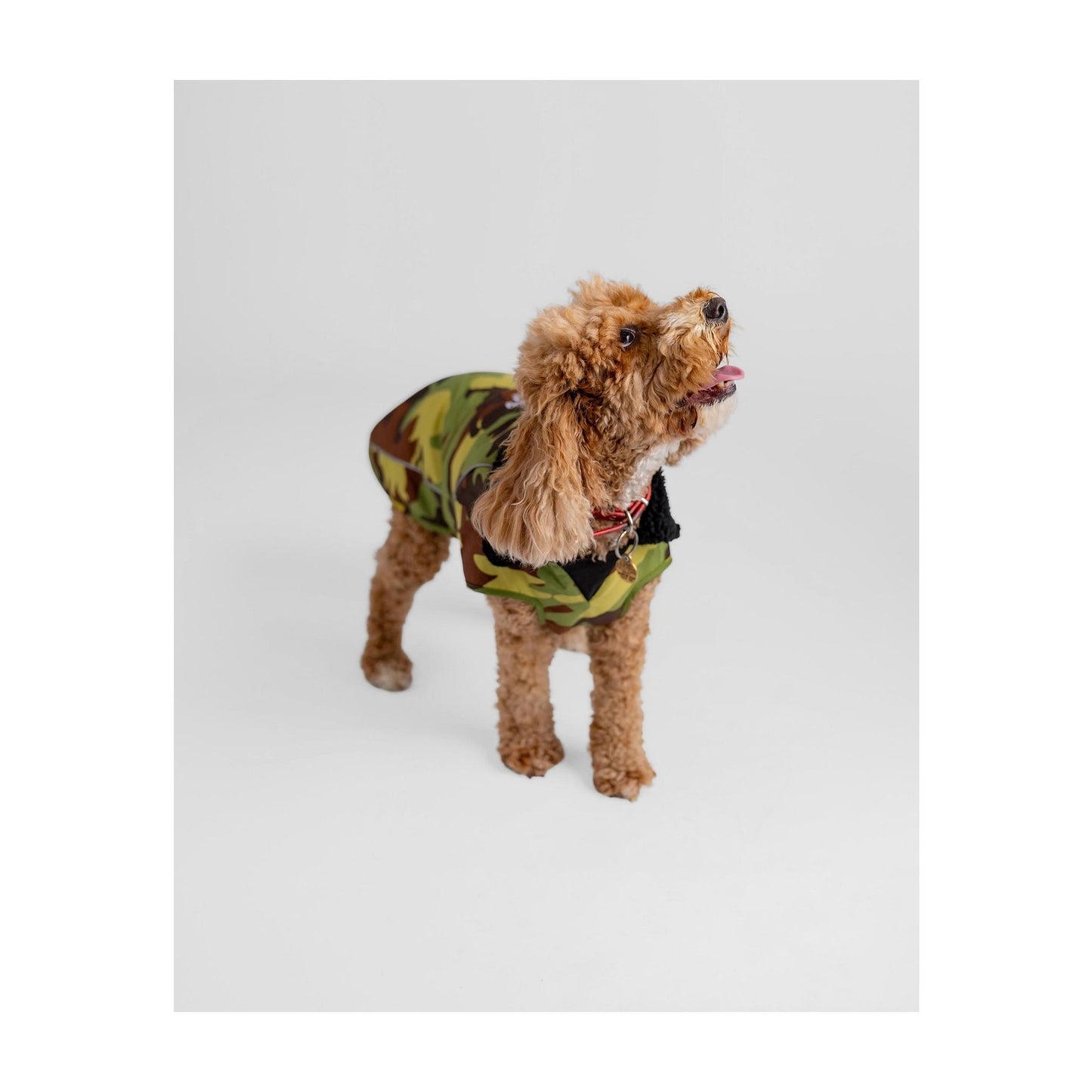 DRYROBE Dog Coat Dog coat Dogs