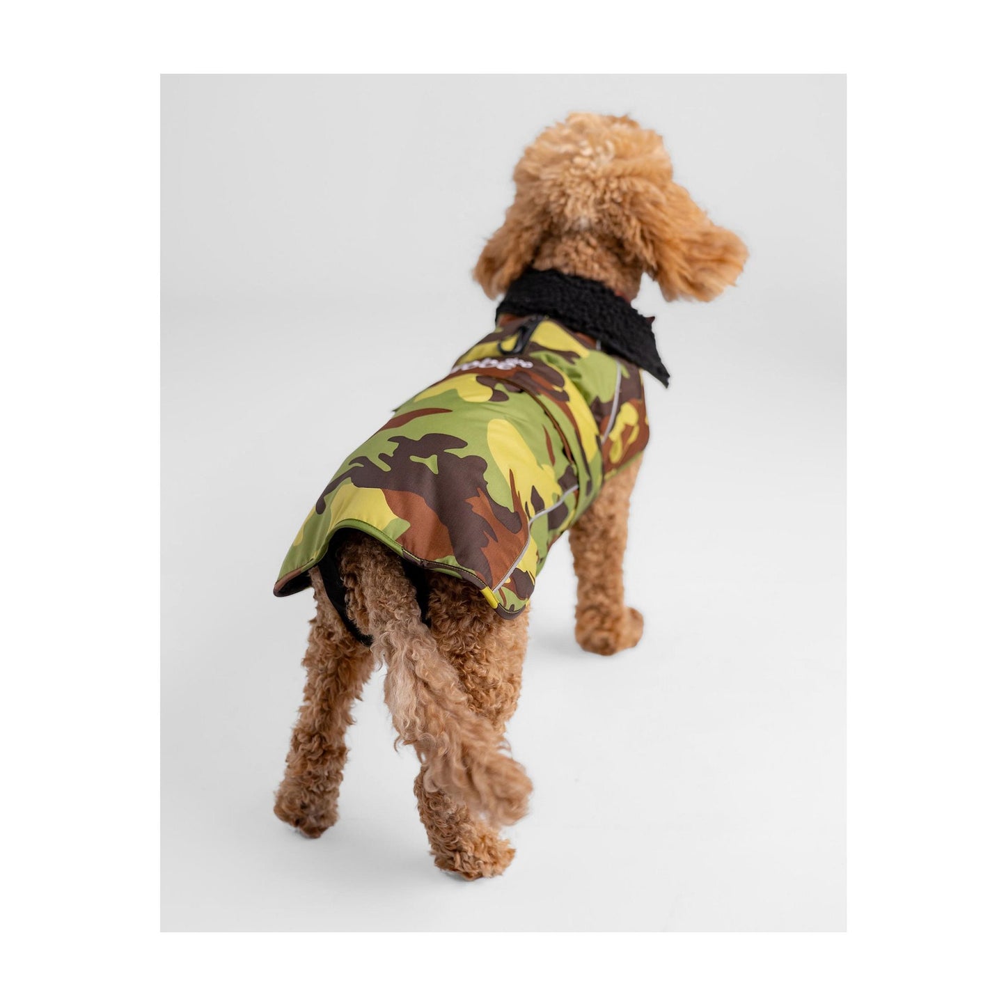DRYROBE Dog Coat Dog coat Dogs