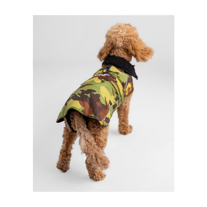 DRYROBE Dog Coat Dog coat Dogs