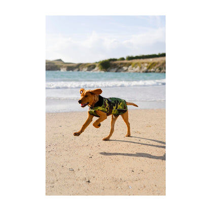 DRYROBE Dog Coat Dog coat Dogs