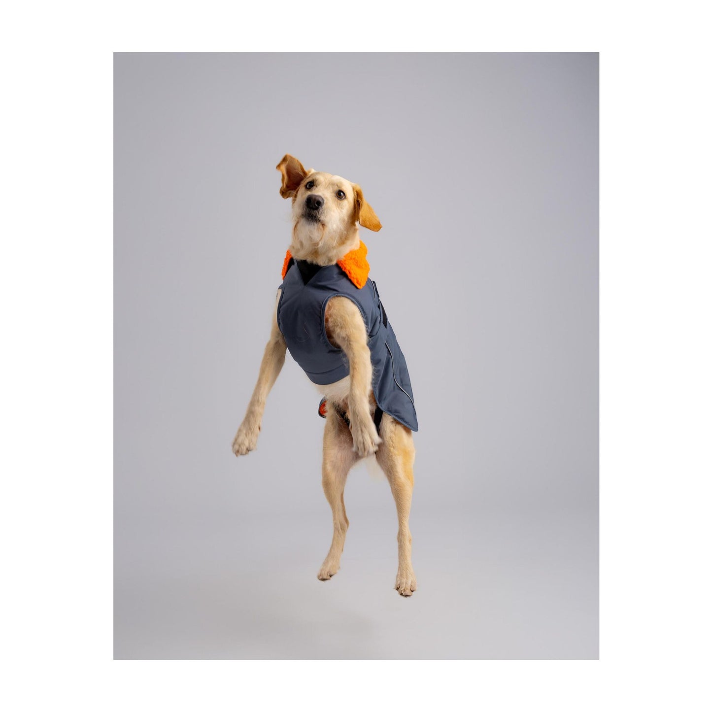 DRYROBE Dog Coat Dog coat