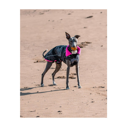 DRYROBE Dog Coat Dog coat Dogs
