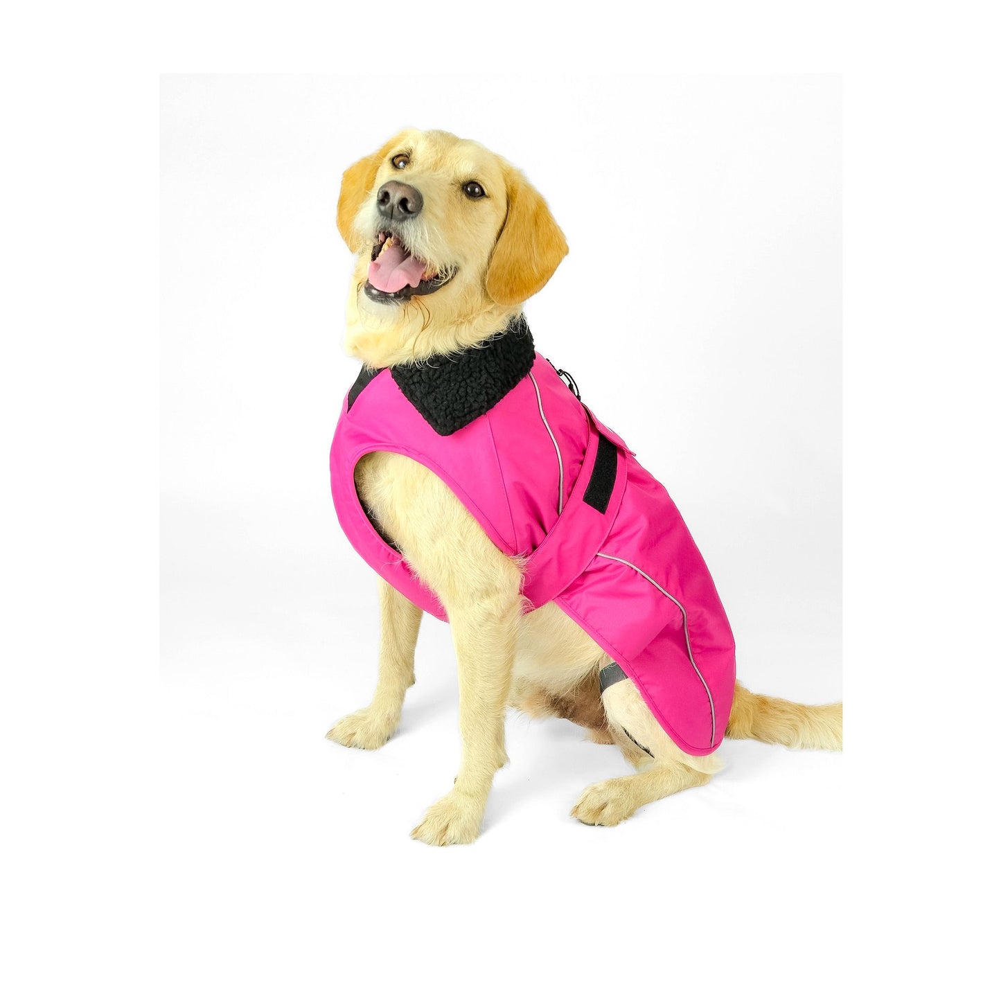DRYROBE Dog Coat Dog coat Dogs