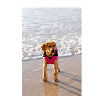 DRYROBE Dog Coat Hundemantel