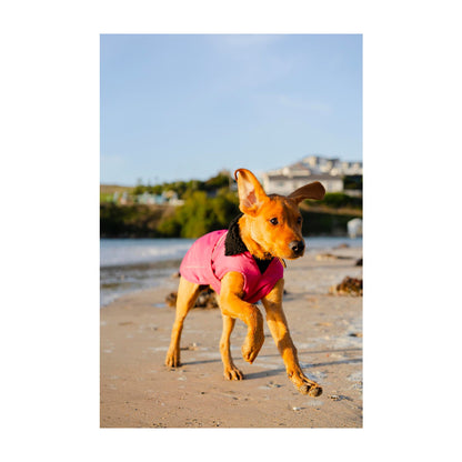 DRYROBE Dog Coat Hundemantel