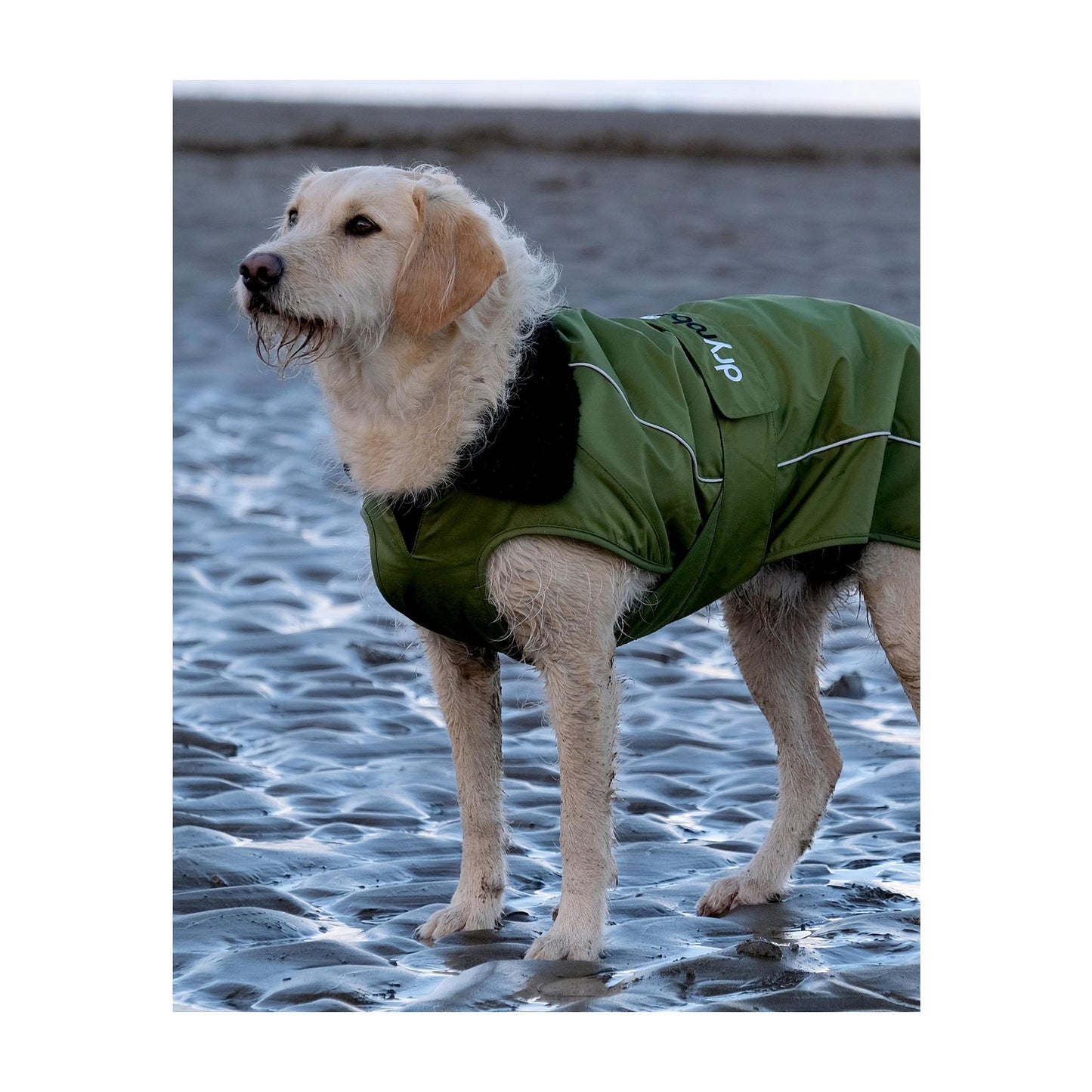 DRYROBE Dog Coat Dog coat Dogs