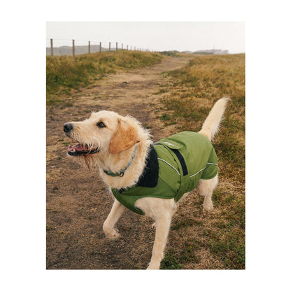 DRYROBE Dog Coat Dog coat Dogs