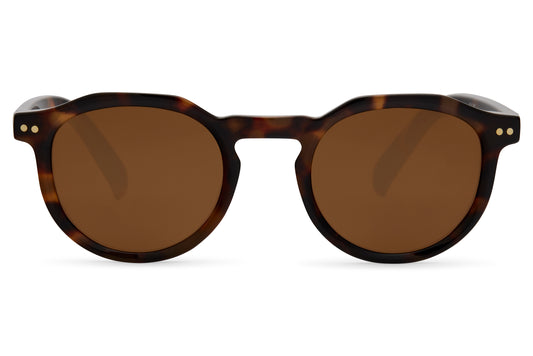 Brto Recycled Sunglass Brown Brown