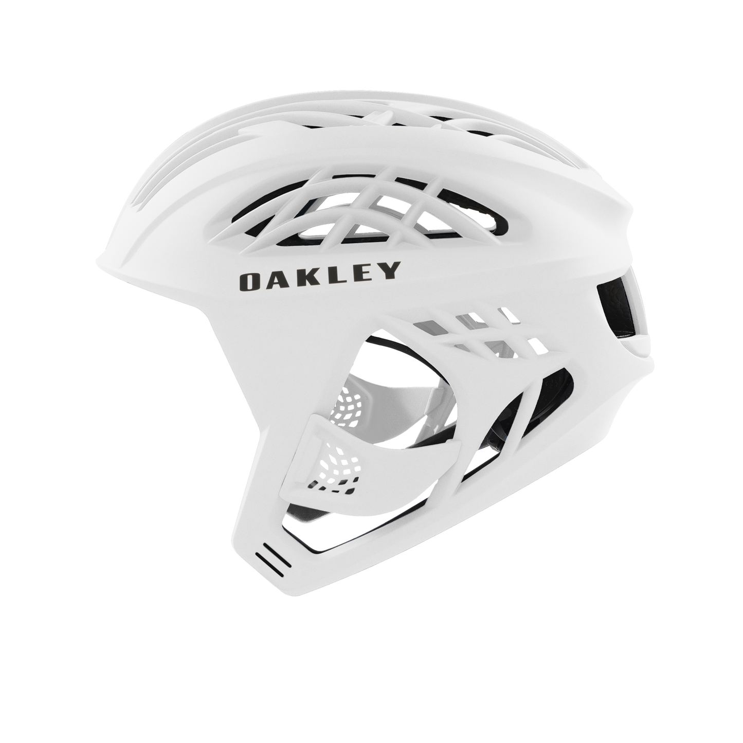 Oakley WTR Icon Helmet