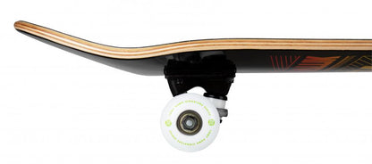 Tony Hawk SS 180+ Logotipo Empilhado Completo