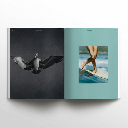 WAVES AND WOODS -  Ausgabe 42