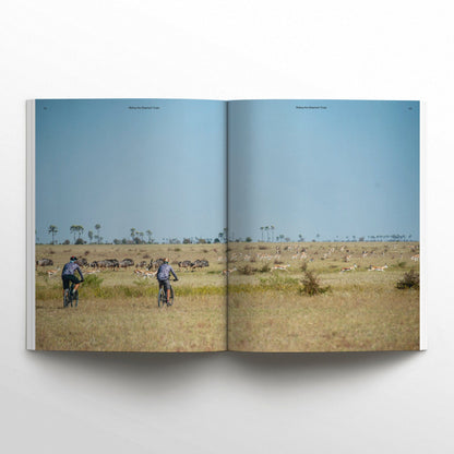 WAVES AND WOODS -  Ausgabe 42