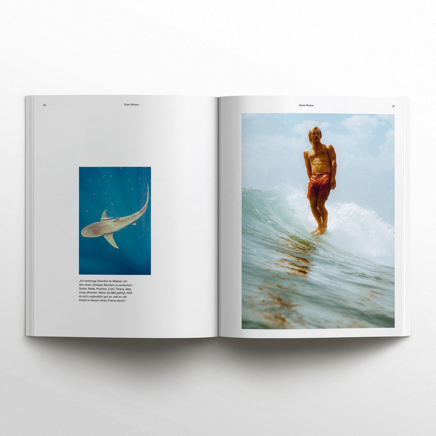 WAVES AND WOODS -  Ausgabe 45