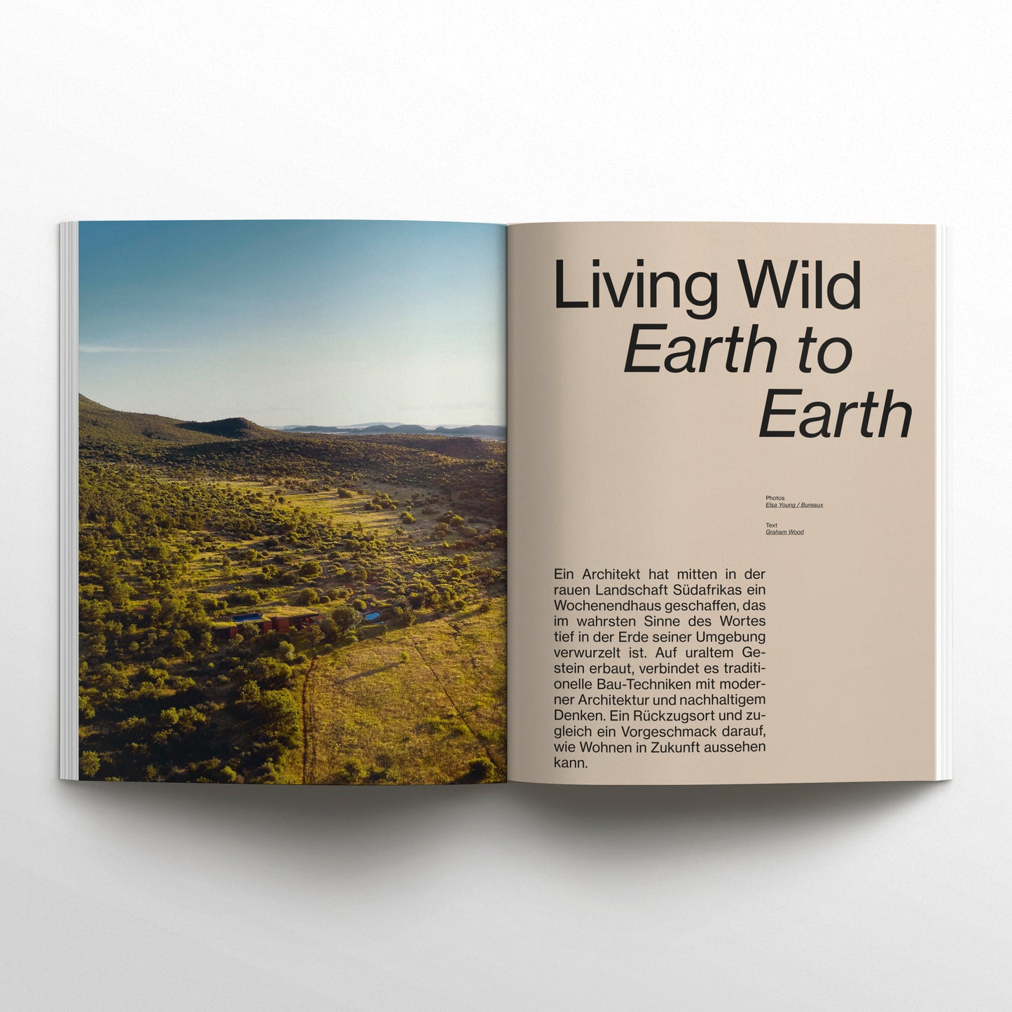 WAVES AND WOODS -  Ausgabe 45