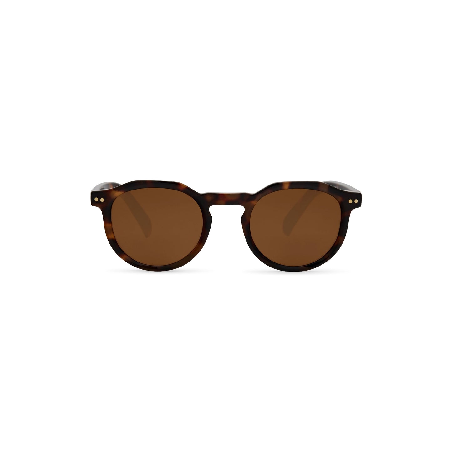 Brto Recycled Sunglass Brown Brown