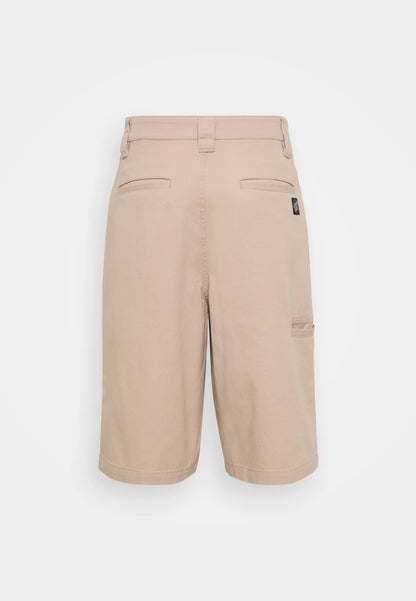 Santa Cruz Shorts Dillon Shorts