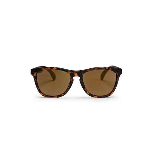 CHPO Bodhi Sunglasses Tortoise Tortoise