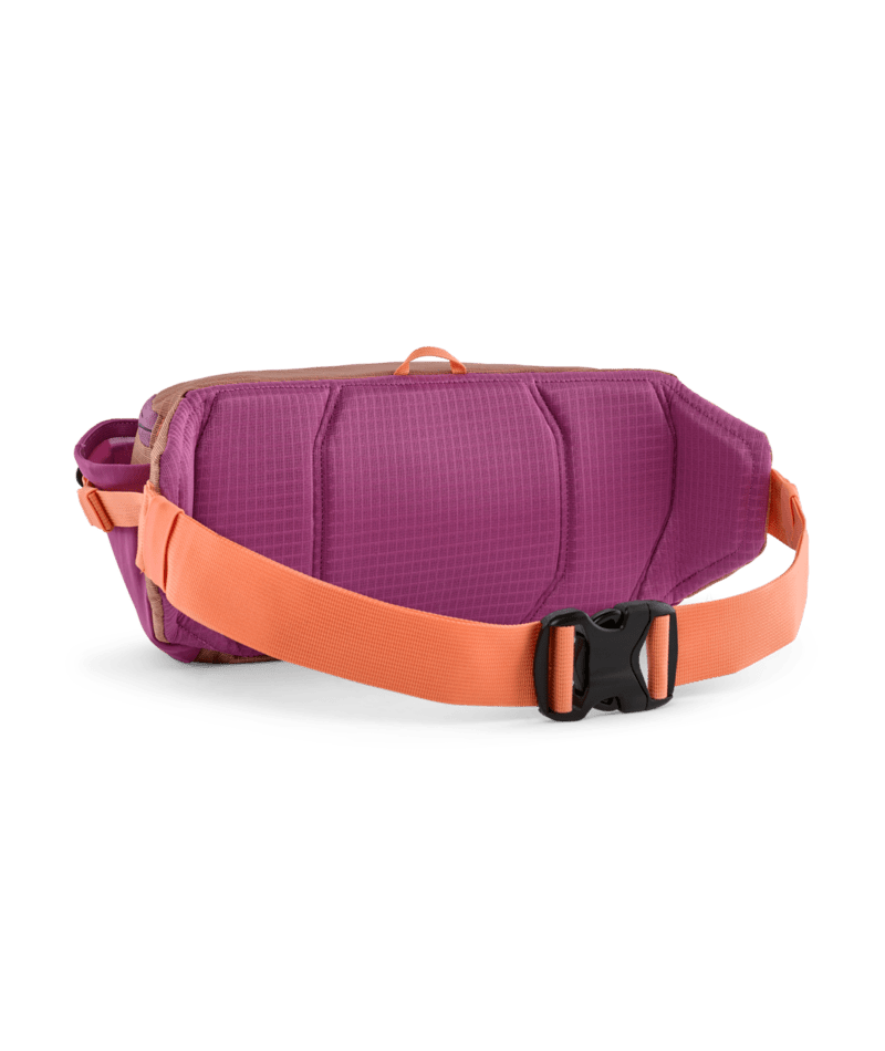 Patagonia Black Hole Waist Pack 5L Peach Sherbet