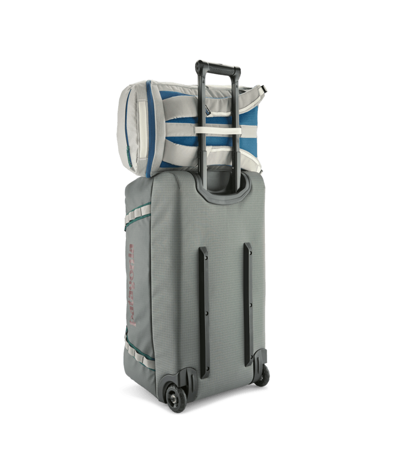 Patagonia Black Hole Pack 25L Birch White