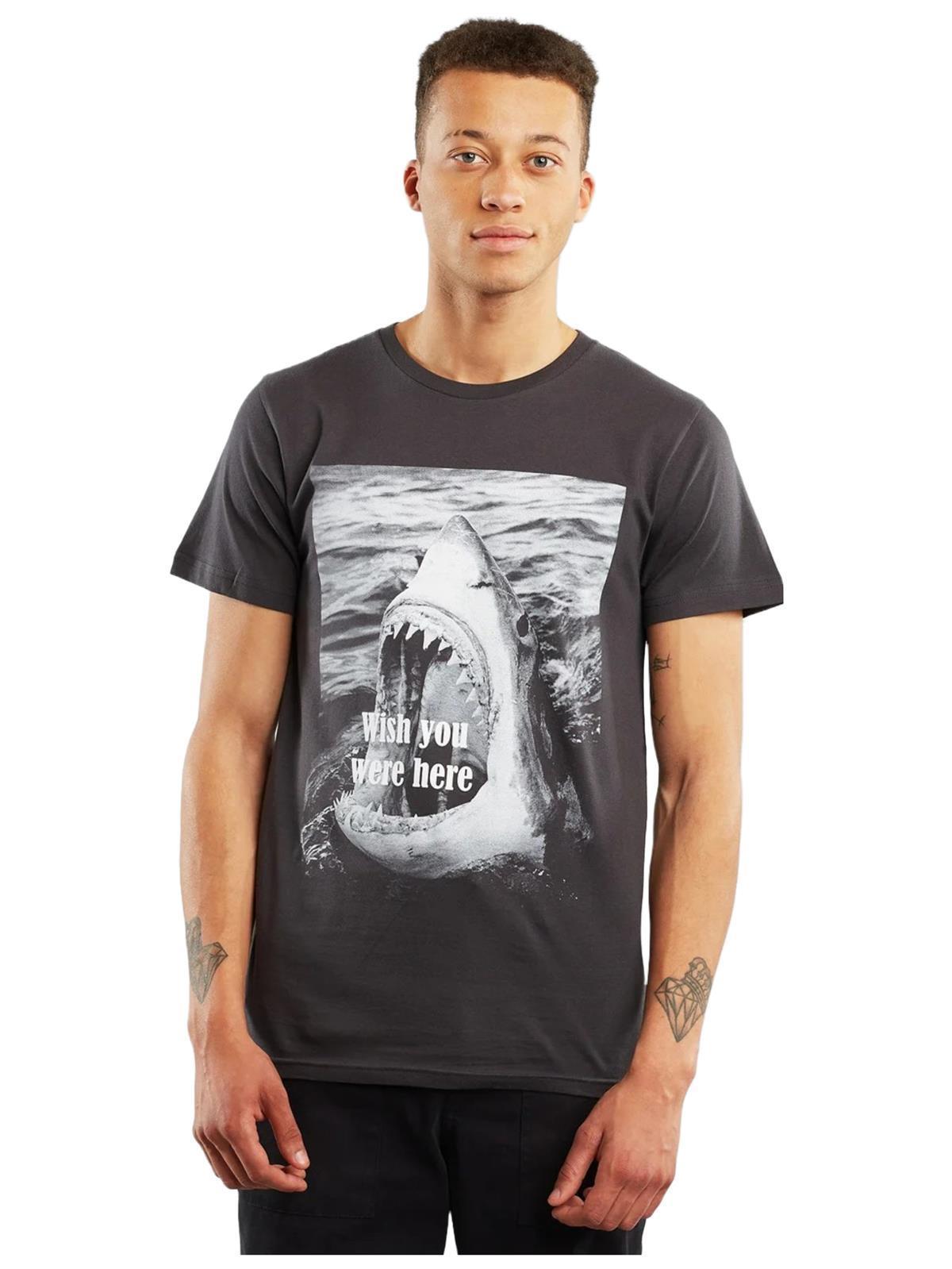 Dedicated Wish You Where Here Shark T-Shirt