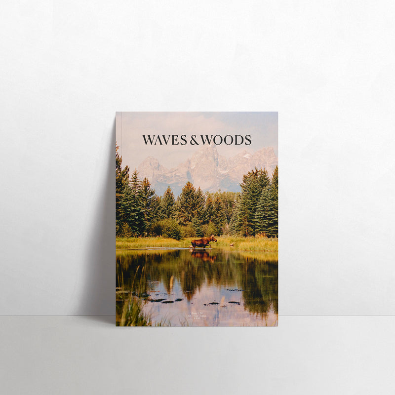 WAVES AND WOODS -  Ausgabe 39