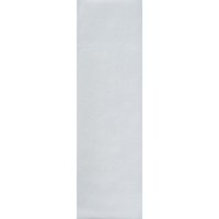 Globe Perforated Griptape 9" Clear